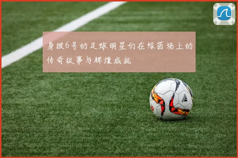 身披6号的足球明星们在绿茵场上的传奇故事与辉煌成就