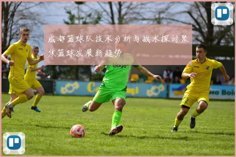 成都篮球队技术分析与战术探讨聚焦篮球发展新趋势