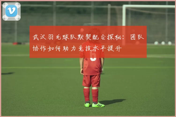 武汉羽毛球队默契配合探秘：团队协作如何助力竞技水平提升