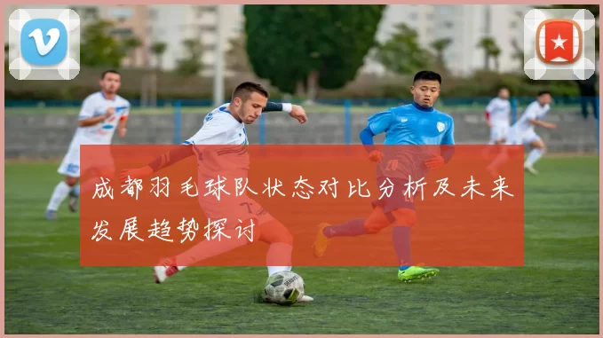 成都羽毛球队状态对比分析及未来发展趋势探讨