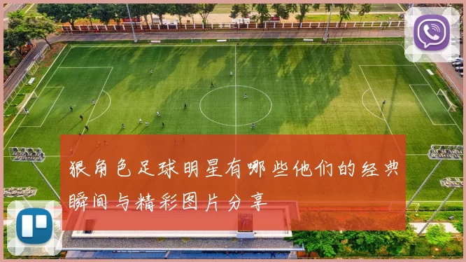 狠角色足球明星有哪些他们的经典瞬间与精彩图片分享