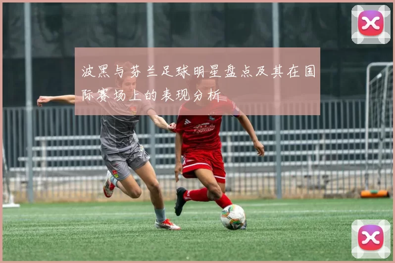 波黑与芬兰足球明星盘点及其在国际赛场上的表现分析