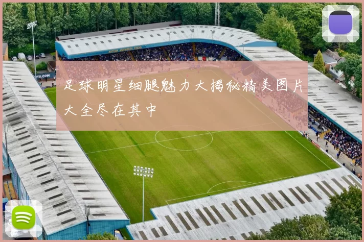足球明星细腿魅力大揭秘精美图片大全尽在其中