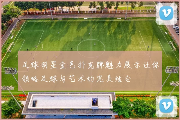 足球明星金色扑克牌魅力展示让你领略足球与艺术的完美结合