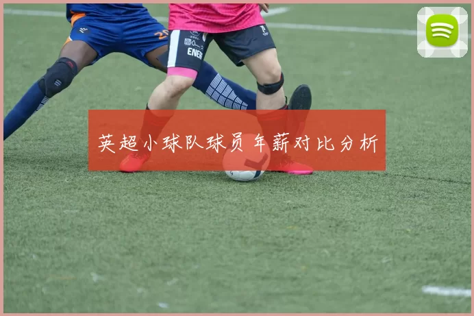 英超小球队球员年薪对比分析