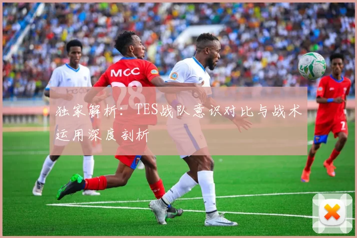 独家解析：TES战队意识对比与战术运用深度剖析