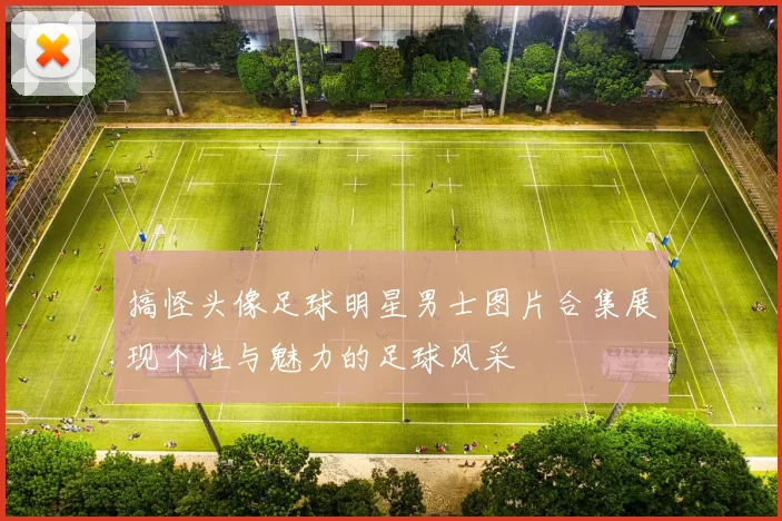 搞怪头像足球明星男士图片合集展现个性与魅力的足球风采