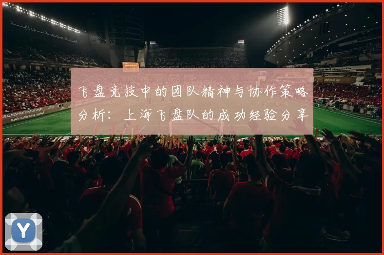 飞盘竞技中的团队精神与协作策略分析：上海飞盘队的成功经验分享
