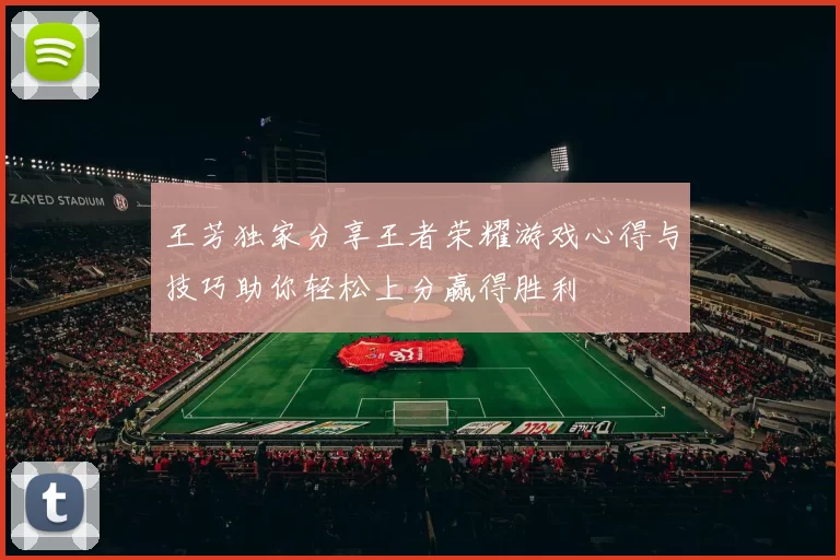 王芳独家分享王者荣耀游戏心得与技巧助你轻松上分赢得胜利