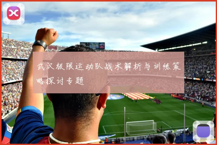武汉极限运动队战术解析与训练策略探讨专题