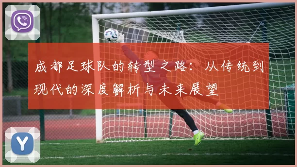 成都足球队的转型之路：从传统到现代的深度解析与未来展望