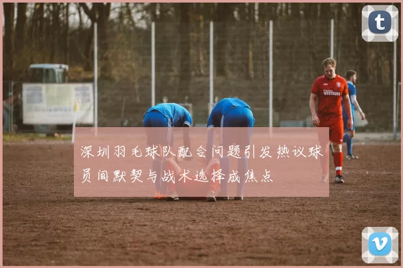 深圳羽毛球队配合问题引发热议球员间默契与战术选择成焦点