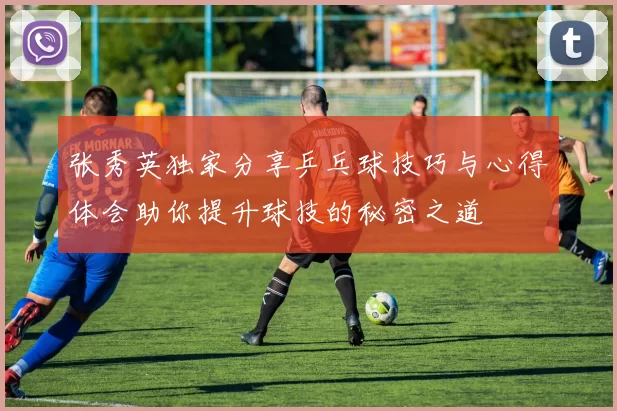 张秀英独家分享乒乓球技巧与心得体会助你提升球技的秘密之道