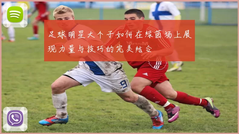 足球明星大个子如何在绿茵场上展现力量与技巧的完美结合
