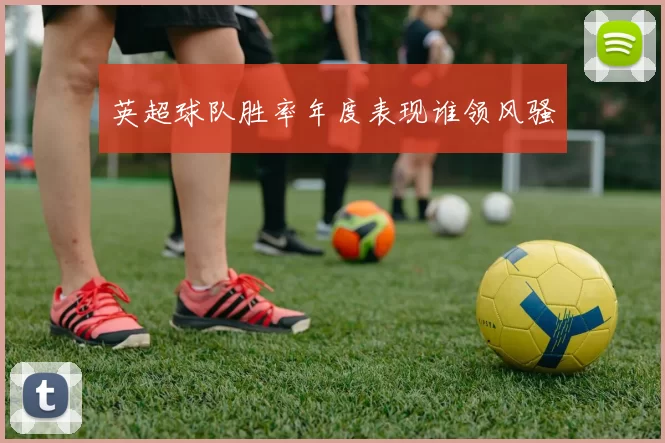 英超球队胜率年度表现谁领风骚